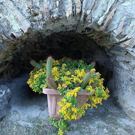 Il Fontolo Villa Ponzano Superiore Bagian luar foto