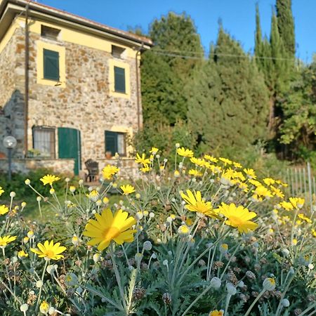 Il Fontolo Villa Ponzano Superiore Bagian luar foto