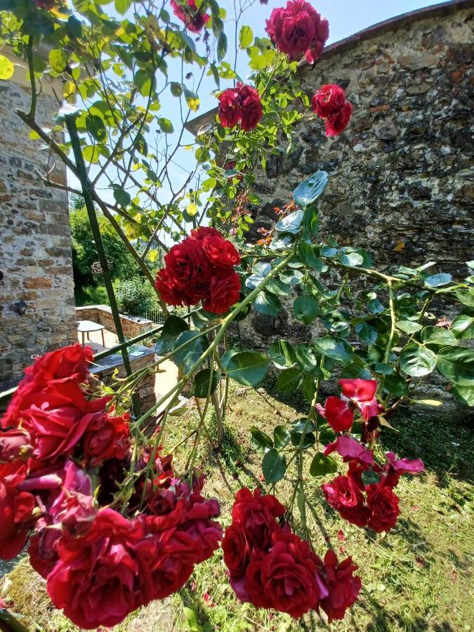 Il Fontolo Villa Ponzano Superiore Bagian luar foto