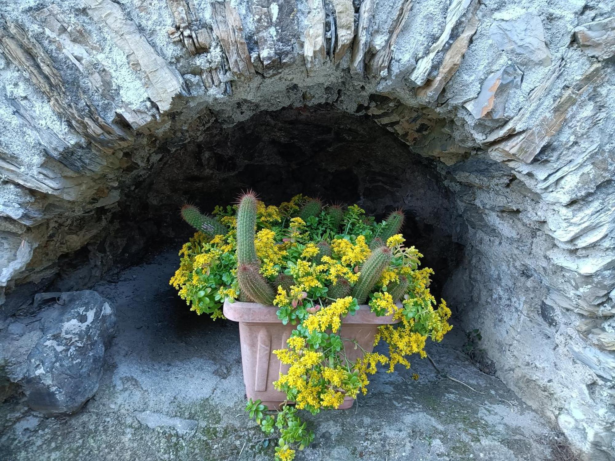 Il Fontolo Villa Ponzano Superiore Bagian luar foto