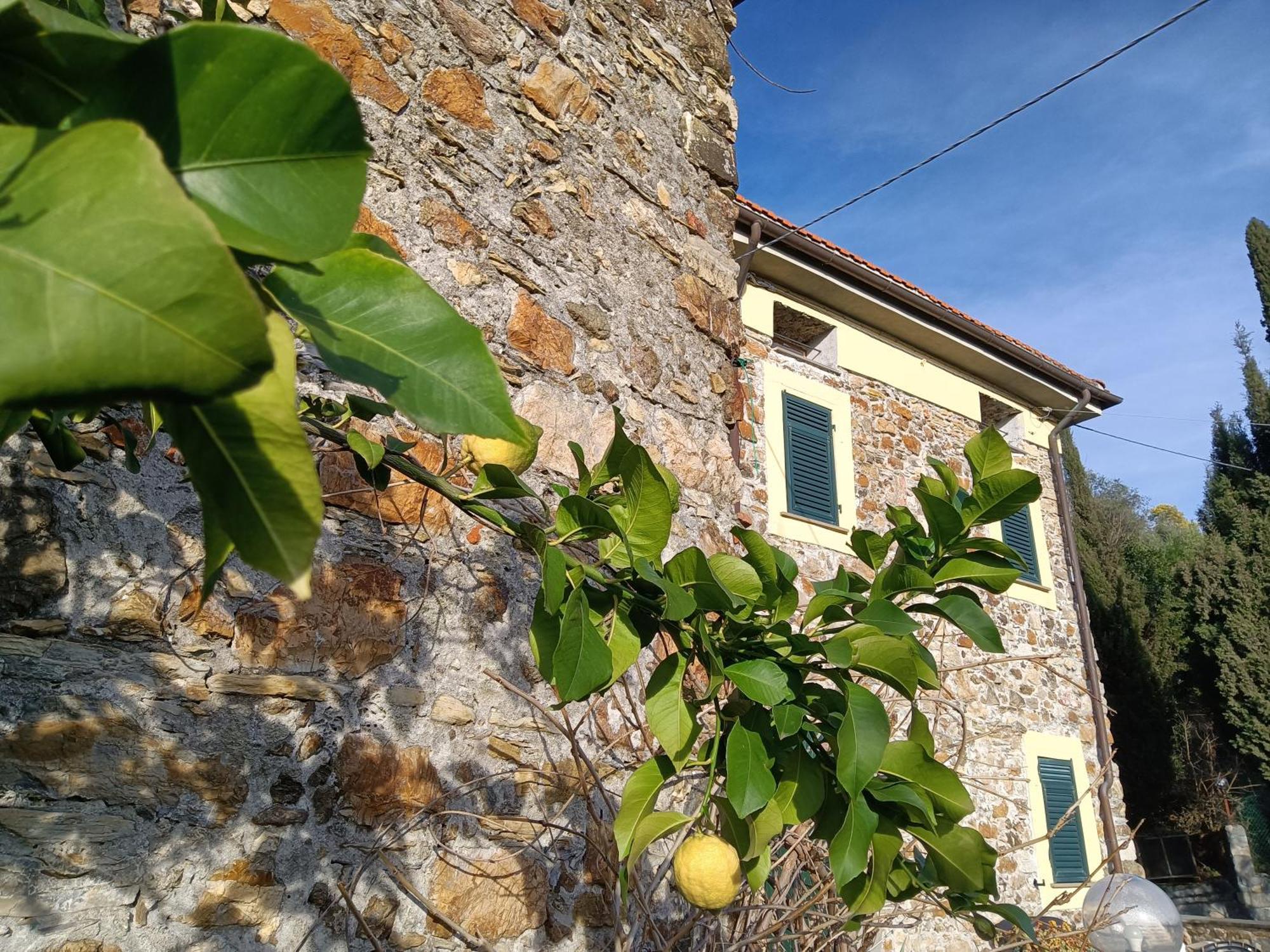 Il Fontolo Villa Ponzano Superiore Bagian luar foto