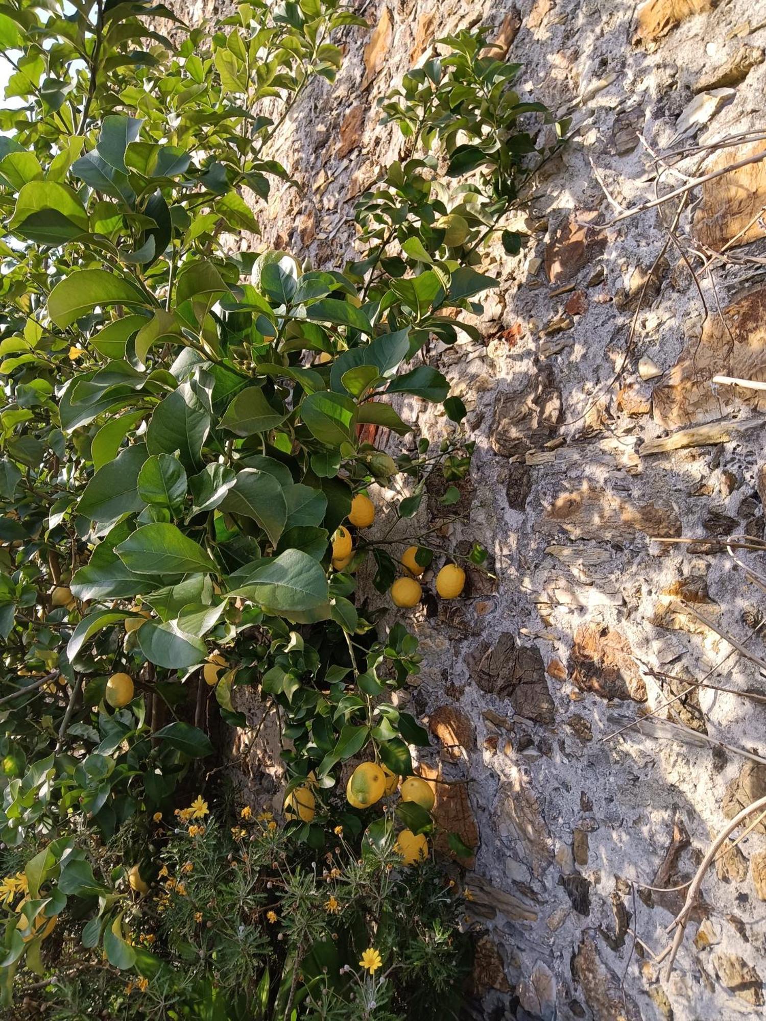 Il Fontolo Villa Ponzano Superiore Bagian luar foto