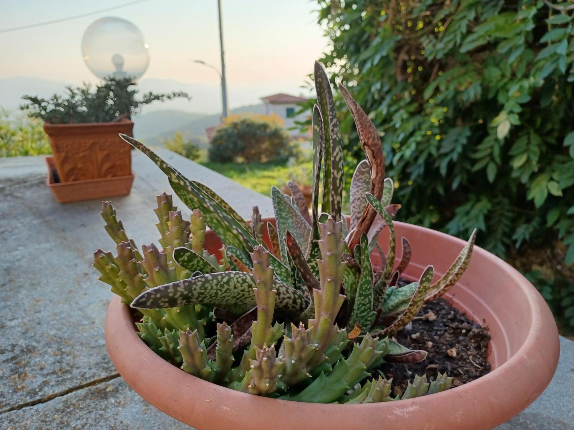 Il Fontolo Villa Ponzano Superiore Bagian luar foto