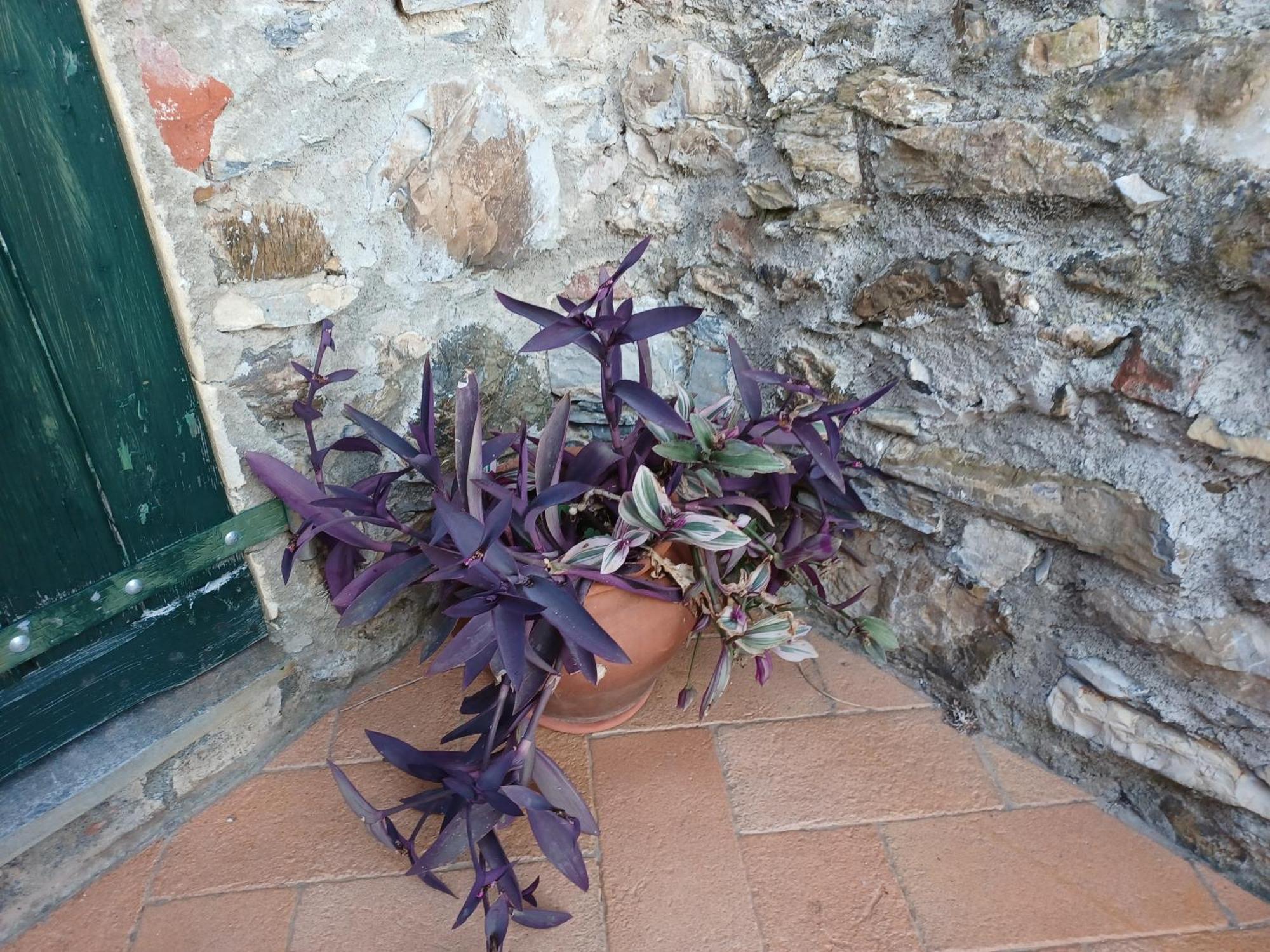 Il Fontolo Villa Ponzano Superiore Bagian luar foto