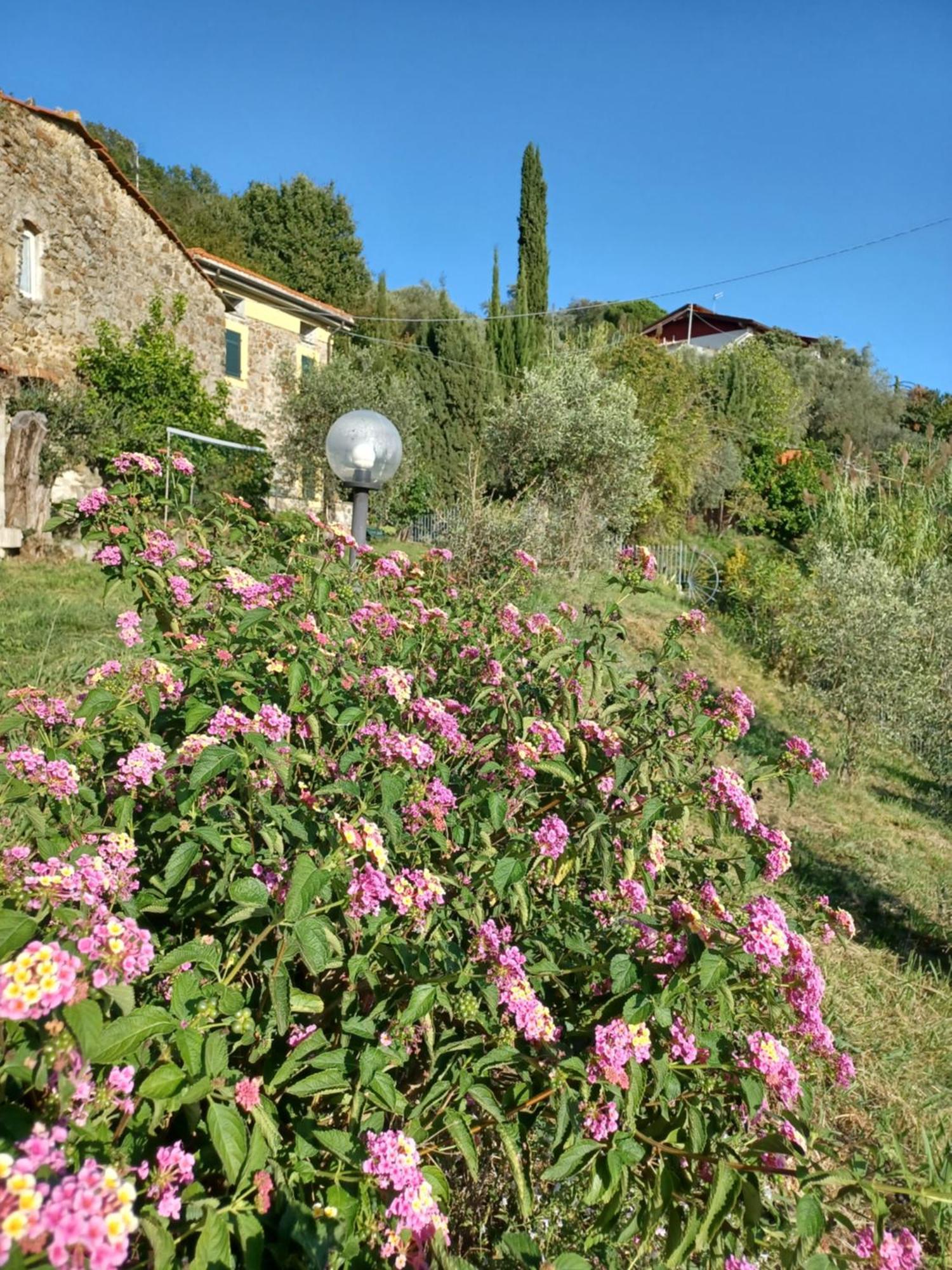 Il Fontolo Villa Ponzano Superiore Bagian luar foto