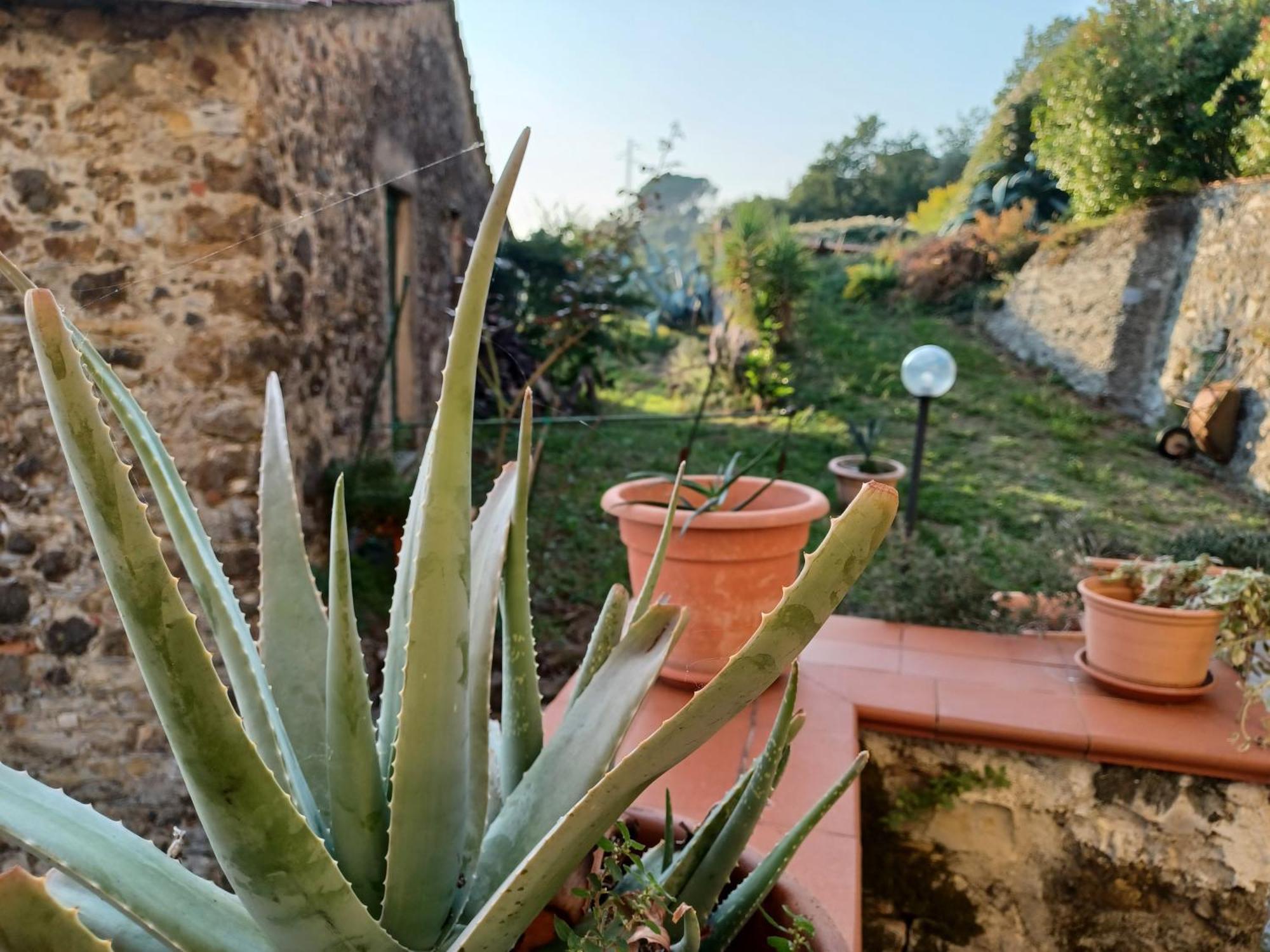 Il Fontolo Villa Ponzano Superiore Bagian luar foto