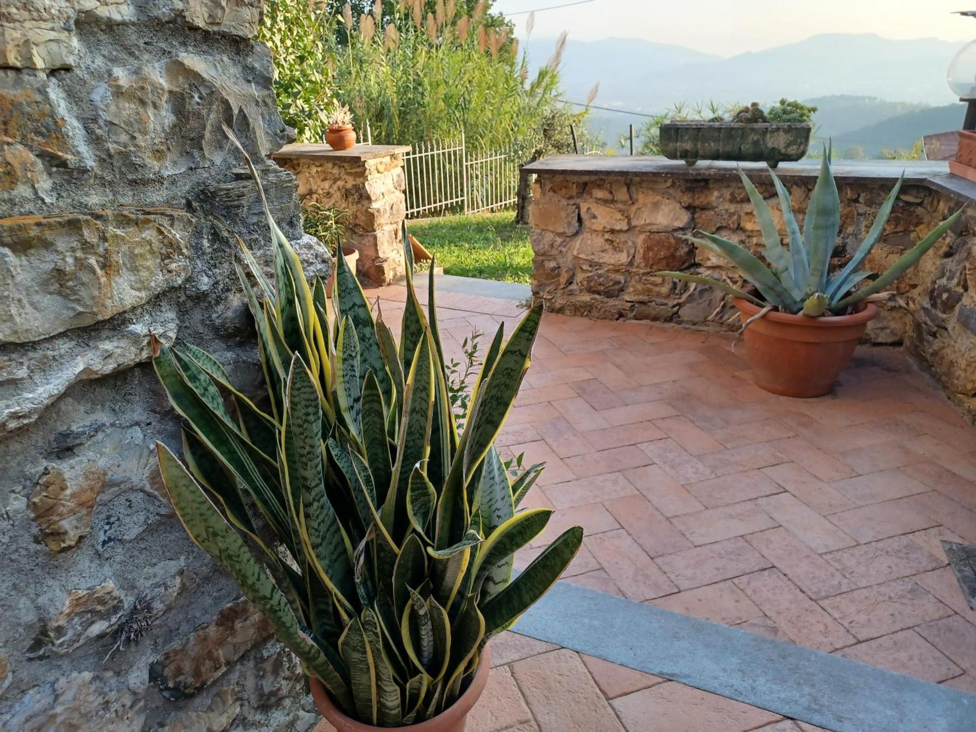 Il Fontolo Villa Ponzano Superiore Bagian luar foto