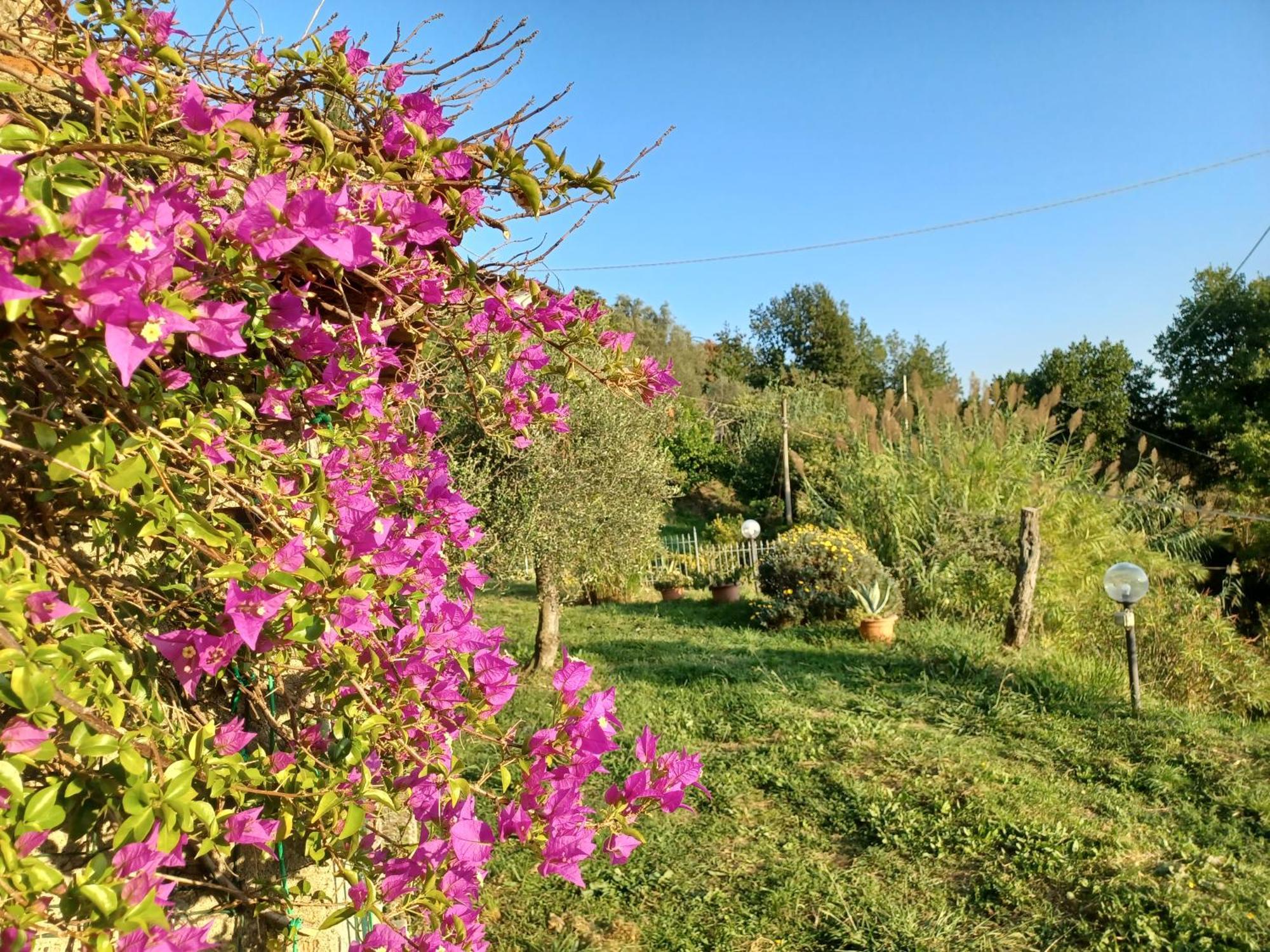 Il Fontolo Villa Ponzano Superiore Bagian luar foto