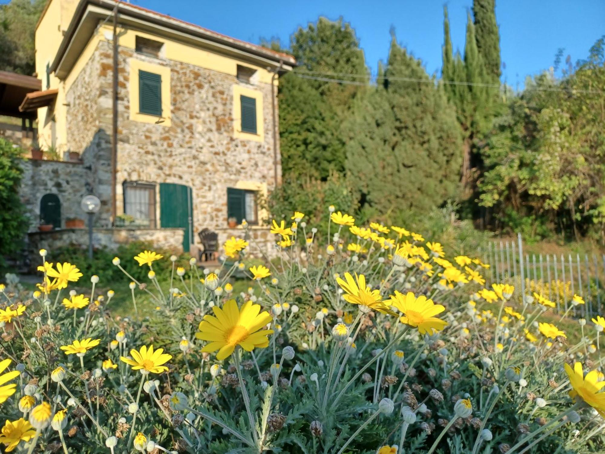 Il Fontolo Villa Ponzano Superiore Bagian luar foto