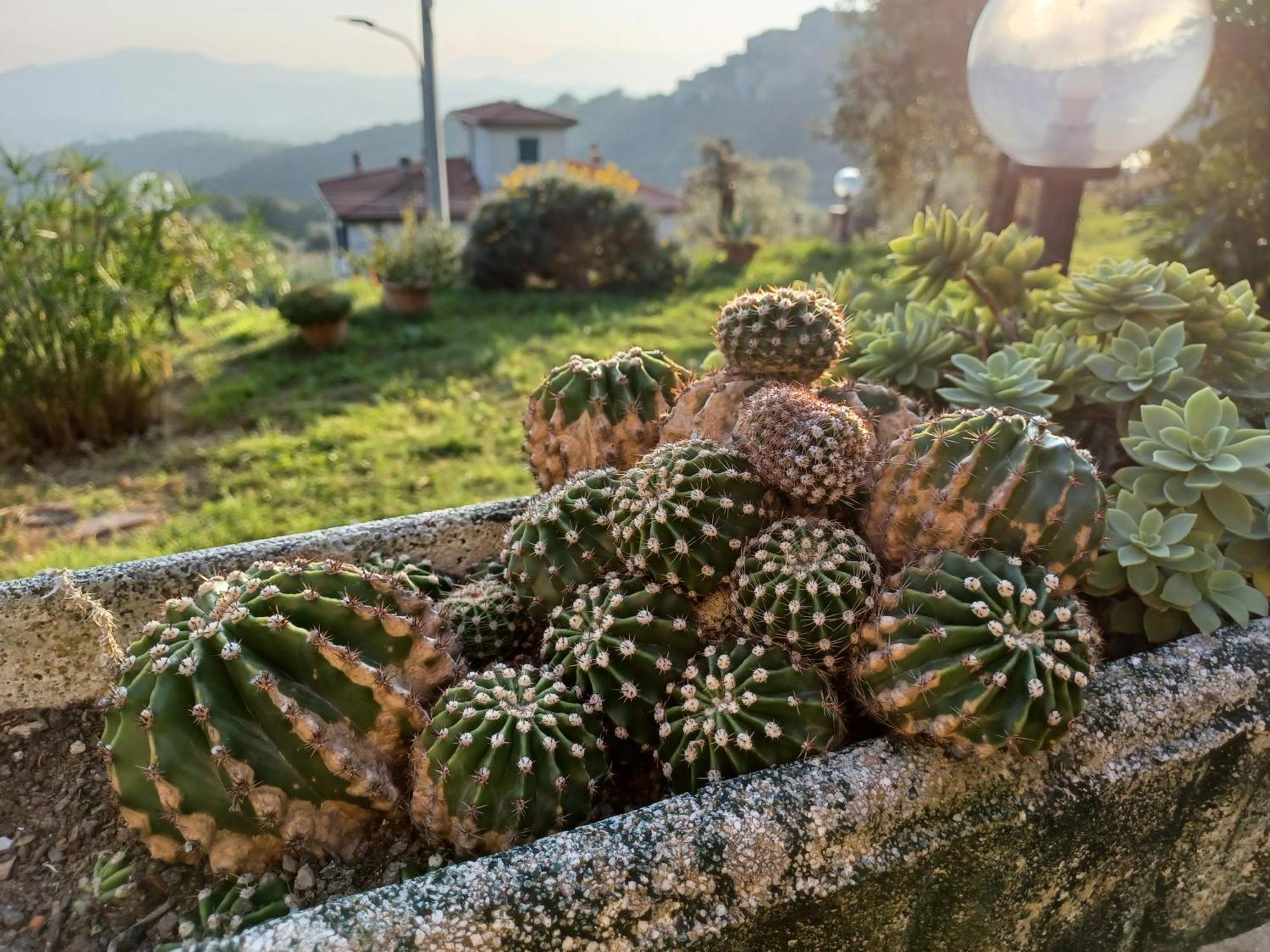 Il Fontolo Villa Ponzano Superiore Bagian luar foto