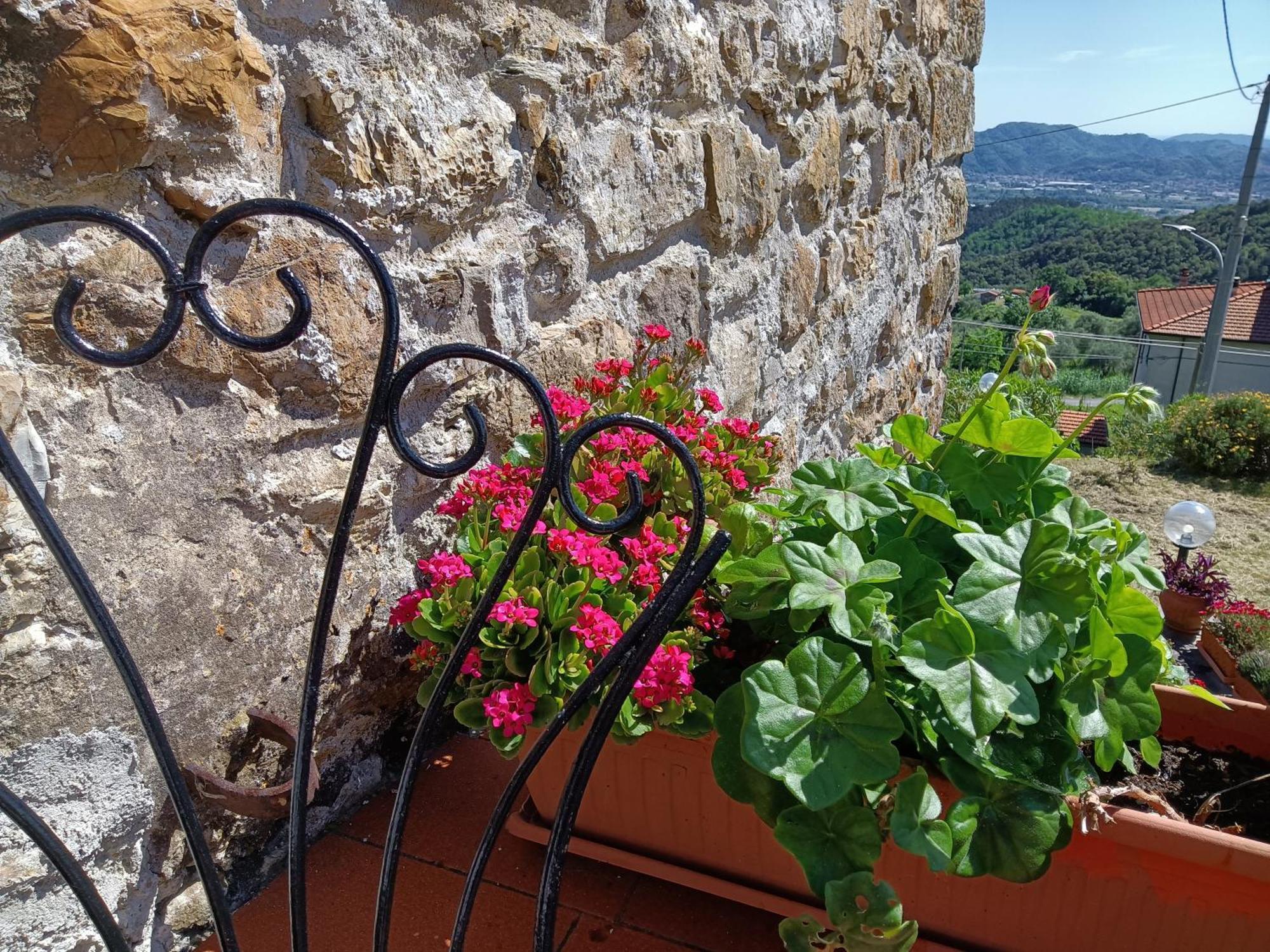 Il Fontolo Villa Ponzano Superiore Bagian luar foto